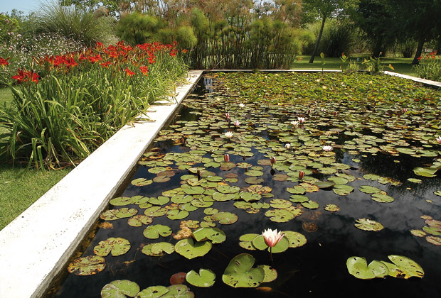 Un jardín como preámbulo de la selva.