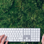 El uso de biofilia puede incrementar hasta un 15% la productividad en las oficinas